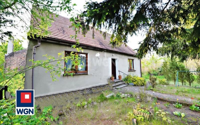 Dom na dużej działce z budynkami gospodarczymi.