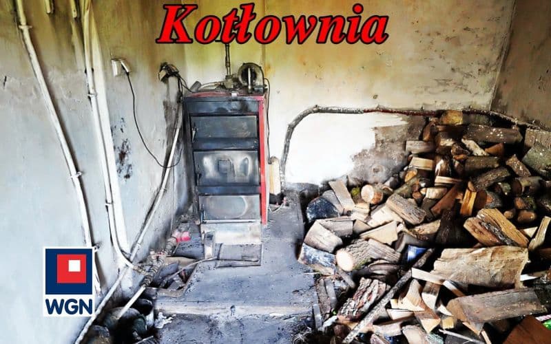 Dom na dużej działce z budynkami gospodarczymi. — zdjęcie 17