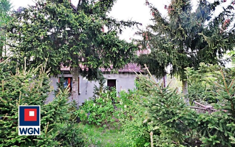 Dom na dużej działce z budynkami gospodarczymi. — zdjęcie 18