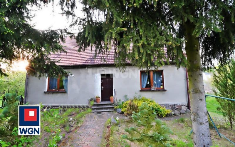 Dom na dużej działce z budynkami gospodarczymi. — zdjęcie 4